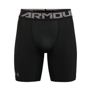 UNDER ARMOUR Sportovní kalhoty šedá / černá / bílá