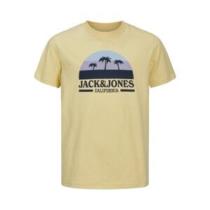 Jack & Jones Junior Tričko  námořnická modř / kouřově modrá / limone / lenvandulová