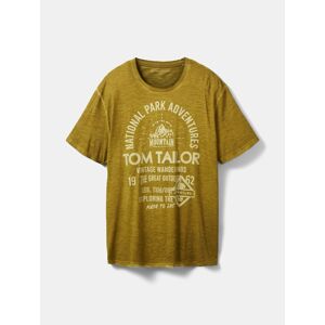 TOM TAILOR Men + Tričko  béžová / olivová