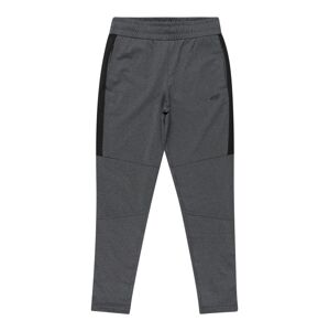 4F Sportovní kalhoty  tmavě šedá / černá