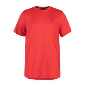 Spyder Funkční tričko šedá / červená