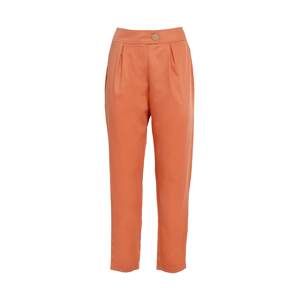 Influencer Kalhoty oranžová