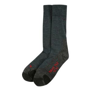 FALKE Sportovní ponožky  šedý melír / petrolejová / černá