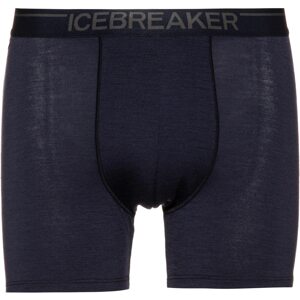 ICEBREAKER Sportovní spodní prádlo 'Anatomica'  noční modrá / hnědá / tmavě fialová