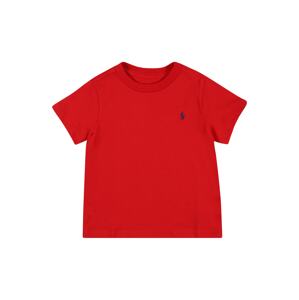 Polo Ralph Lauren Tričko tmavě modrá / červená