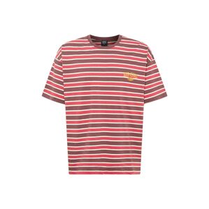 BDG Urban Outfitters Tričko melounová / pastelově červená / bílá