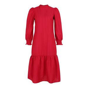 Dorothy Perkins Petite Šaty červená / světle červená