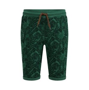 WE Fashion Kalhoty  zelená