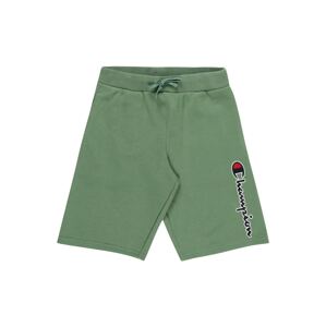 Champion Authentic Athletic Apparel Kalhoty  námořnická modř / zelená / červená / bílá