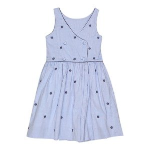 Polo Ralph Lauren Šaty  námořnická modř / nebeská modř / světlemodrá / limone