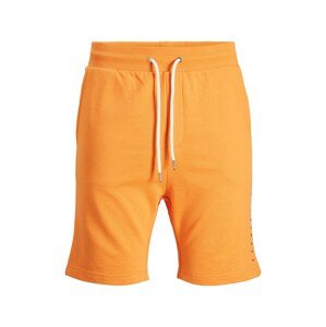Jack & Jones Junior Kalhoty  oranžová