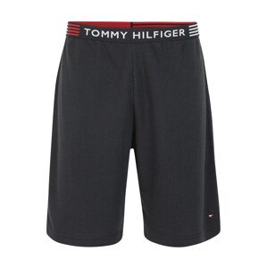 Tommy Hilfiger Underwear Kalhoty  modrá / červená / bílá