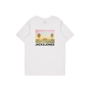 Jack & Jones Junior Tričko 'BILLBOARD'  mix barev / bílá