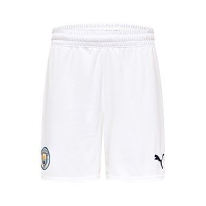 PUMA Sportovní kalhoty 'Manchester City'  mix barev / bílá