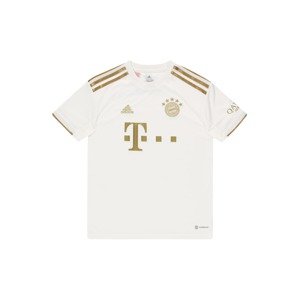 ADIDAS PERFORMANCE Funkční tričko 'FC Bayern München 22/23'  zlatá / bílá