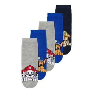NAME IT Ponožky 'OTRICK PAW PATROL'  modrá / světle šedá / mix barev