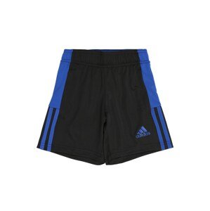 ADIDAS PERFORMANCE Sportovní kalhoty 'TIRO'  modrá / černá