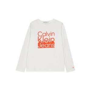 Calvin Klein Tričko  mandarinkoná / bílá