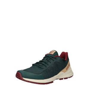Reebok Sport Sportovní boty 'ASTRORIDE' béžová / tmavě zelená / červená