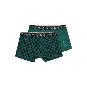 Calvin Klein Underwear Spodní prádlo  zelená / černá / bílá