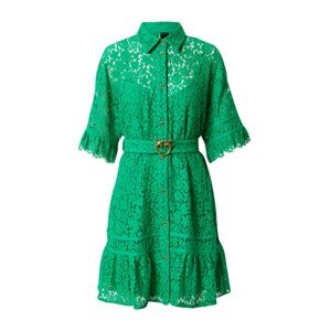 PINKO Košilové šaty  zelená